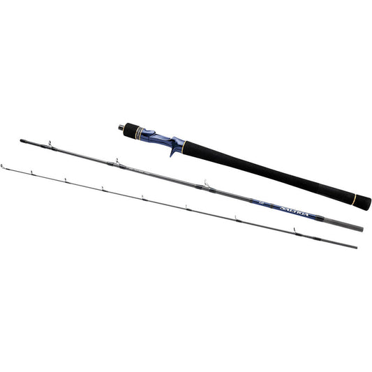 Saltiga Travel Jigging Casting Rods