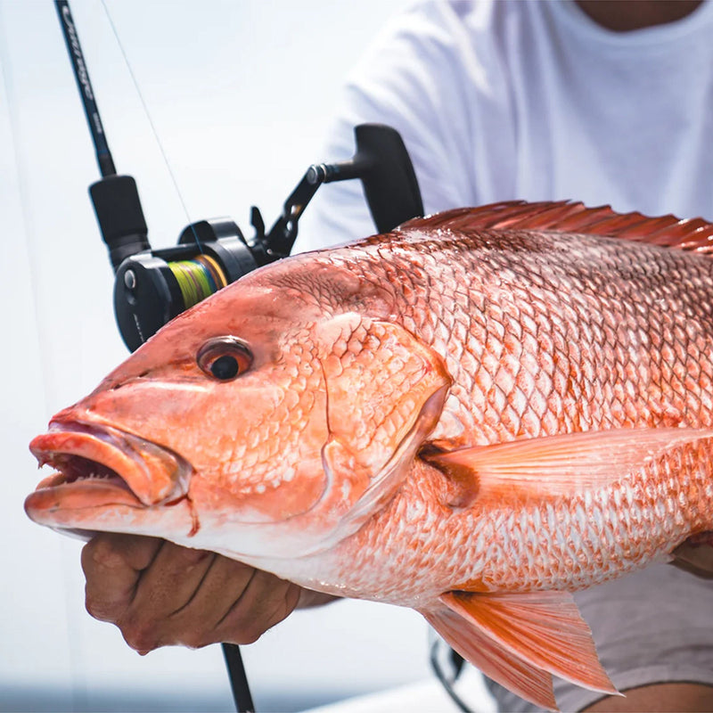 Saltiga 10 Conventional Jigging Reel