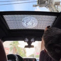 Car Roof Stickers